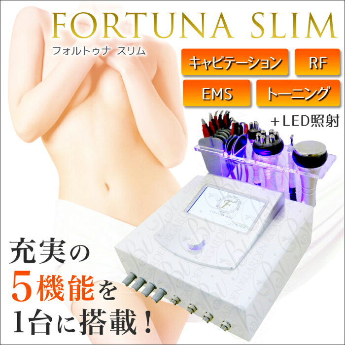 業務用 ダイエット エステ 美容機器　多機能　多数導入本格業務 ダイエットサポート キャビテーション＋ラジオ波＋トーニング+EMS 4つ機能を1台で 美顔器 美容機器　PL保険付き fortuna slim 送料無料