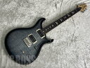 Paul Reed Smith(PRS) CE24 (Faded Blue Smokeburst) [eiX] y[\z