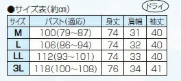 シルク使いグラデーションオパールチュニック 全2色 　 レディース 婦人服 ミセス シニア 女性 オシャレ ファッション 40代 50代 60代 70代 80代 母の日 お母さん 春物 夏物 春夏 敬老 プレゼント 贈り物　p21456