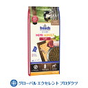 【正規輸入品】犬用 ミニアダルトラム＆ライス 小粒 9kg 3kg 3 ボッシュ ハイプレミアム ドッグフード 通常活動レベルの小型成犬用総合栄養食 10ヶ月以上 