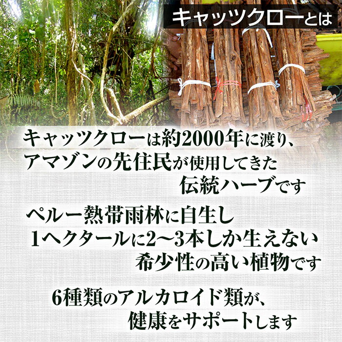 キャッツクロー 粉末 50g 約20日分 健康市場 原料そのまま 健康食品 無添加 パウダー 顆粒 サプリ サプリメント 健康 アルカロイド 漢方 栄養補助食品 栄養補給 男性 女性