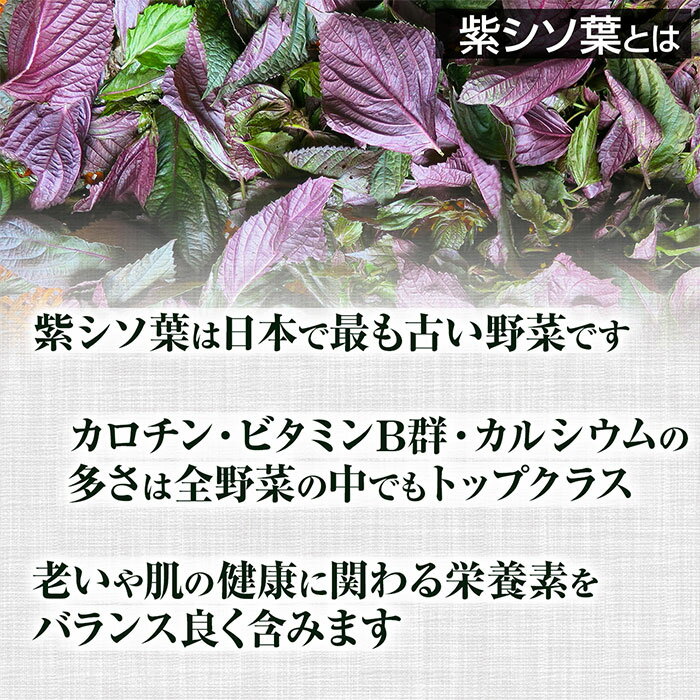 紫シソ葉 粉末 100g 約1ヶ月分 健康市場 原料そのまま 健康食品 無添加 ムラサキシソハ むらさきしそは むらさきシソ葉 むらさきしそ葉 ムラサキ紫蘇葉 むらさき紫蘇葉 パウダー 顆粒 サプリ サプリメント 健康 カロチン カルシウム アントシアニン ビタミン リノレン酸 漢方 2