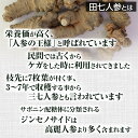 田七人参 粉末 100g 約1ヶ月分 健康市場 原料そのまま 健康食品 無添加 デンシチニンジン でんしちにんじん 三七人参 パウダー 顆粒 サプリ サプリメント 健康 デンシチン アミノ酸 ビタミン ジンセノサイド サポニン ケトン 漢方 栄養補助食品 栄養補給 男性 女性 2