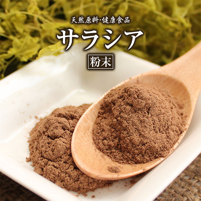 サラシア 粉末 200g 約2ヶ月分 健康市