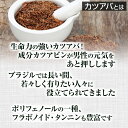 カツアバ エキス パウダー 50g 約25日分 健康市場 原料そのまま 健康食品 無添加 かつあば カツアーバ かつあーば 粉末 顆粒 サプリ サプリメント 健康 カツアビン アルカロイド タンニン フラボノイド 漢方 栄養補助食品 栄養補給 男性 女性 スタミナ 2