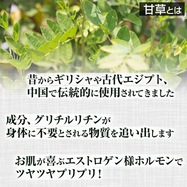 【送料無料】 甘草粉末(100g)天然ピュア原料そのまま健康食品/甘草,かんぞう,カンゾウ サプリメント サプリ 健康 美容 生活習慣 健康管理 お酒 花粉 若さ