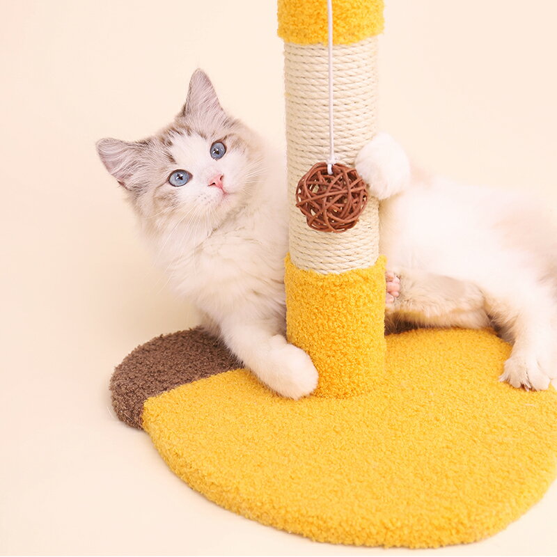 �ɤ󤰤귿������å��㡼���饤�ߥ󥰥ե졼�� GSP983 ǭ���� �ڥå����� ��������դ� �޸��� �Ĥ�Ȥ� ���᤭ �ޤߤ��� ������å��㡼 ǭ��� �դ�դ� �⤳�⤳ �ͤ� ǭ �ͥ� �⤵30cm