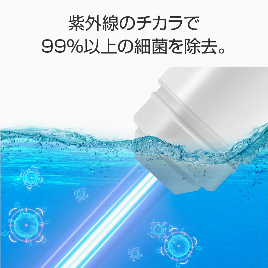 ペン型UV除菌ライト Petoneer UV Sanitizing Pen(ペットニア UVサニタイジングペン)