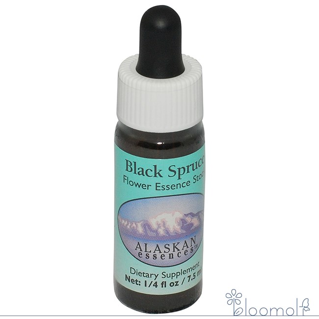 ブラックスプルース アラスカン・エッセンス フラワーエッセンス