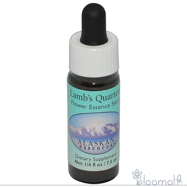 ラムズクオーターズ アラスカン・エッセンス フラワーエッセンス