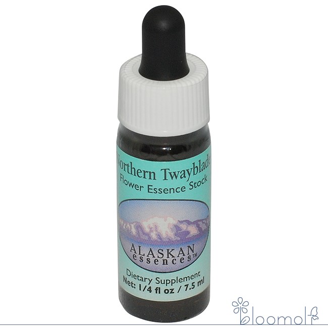樂天商城 - ノーザントウェイブレイド アラスカン・エッセンス フラワーエッセンス