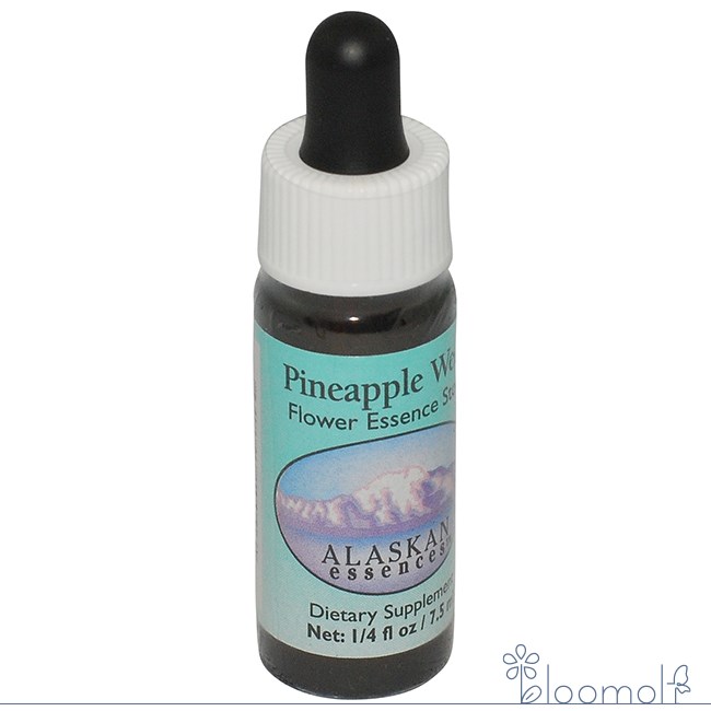 樂天商城 - フラワーエッセンス アラスカン・エッセンス パイナップルウィード