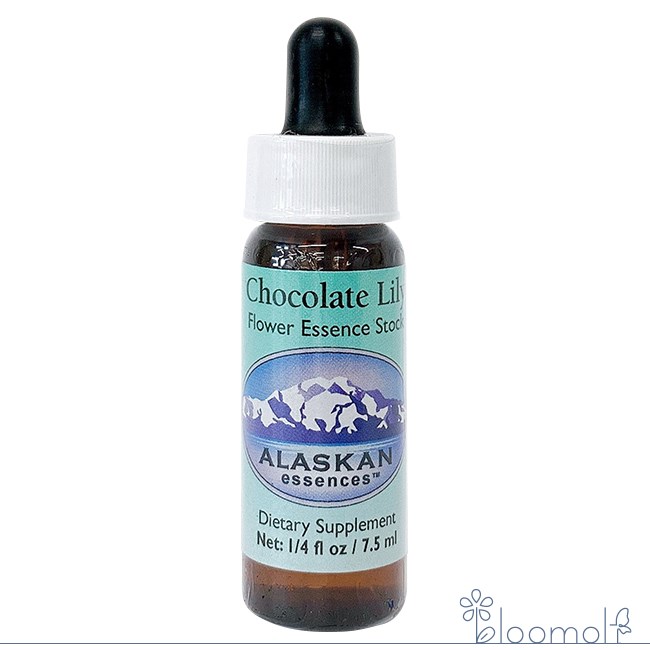 メーカー AlaskanEssencesInc. シリーズ名 アラスカン・エッセンス 単品名称 チョコレートリリー(Chocolate Lily) 原材料 水・海塩・ブランデー・フラワーエッセンス 内容量 7.5ml 賞味期限 パッケージに記載 製造者 AlaskanEssencesInc. 生産国 アメリカ 輸入者 ネイチャーワールド(株) 資料提供 ネイチャーワールド(株) 使用上の注意 ラベルのデザインが変更になる場合がございます。予めご了承ください。 本品は化粧品や医薬品ではありません。 効果は個人によって異なり、特定の効果を保証するというものではありません。 広告文責 (株)B-CRUISE(0362724460) キーワード Chocolate Lily Q：フラワーエッセンスって何？ フラワーエッセンスは、花が持つ癒しを「エッセンス」というかたちで取り込む自然療法です。花や草木を育てたり触れたりすることによって「癒されたなぁ」と感じたことがある方もいるるのではないでしょうか。その「癒しエネルギー」を水に転写したものをフラワーエッセンスといいます。特に「癒し」が強かった「花」を中心に、動物や鉱石、自然環境などの様々な自然界の「癒しエネルギー」からフラワーエッセンスが作られています。フラワーエッセンスは欧米では日常レベルで根付いており、レスキュー隊などの常備品として使われていたり、薬局で売られていたりしています。 Q：フラワーエッセンスはいつから使われてるの？ 1936年にイギリスの高名な医師エドワード=バッチ博士により新しい療法として「フラワーエッセンス」は生み出されました。細菌学者であり病理学者でもあったバッチ博士は、患者の訴えに耳を傾けるうちに、従来の診断法・治療法に限界を感じ、「すべての病気を癒す方法」を模索するようになります。野生の植物に心や感情を癒す力に注目し、長い年月をかけ始まりの38種類からなる現在バッチフラワーレメディーと呼ばれるフラワーエッセンスを完成させました。 Q：フラワーエッセンスとアロマの違いは何？ 「フラワーエッセンス」という名前から花のエキスを抽出し、香りや色がついていると思う方が多いかもしれませんが、花の香りや色、味などは入っておりません。 アロマオイルは植物の「香りなどの成分」を抽出し芳香を楽しむものに対し、フラワーエッセンスは「癒しのエネルギー」を水に転写したものになります。 Q：誰でも使えるの？ フラワーエッセンスは他の薬や治療法と併用してお使いできます。アロマテラピーなどで使用する精油などには、妊婦や小さいお子様に使えない種類などがありますが、フラワーエッセンスにはありません。性別や年齢関問わず、小さなお子様からお年寄りまで全ての方、またペットまでお使いいただけます。気づき、センタリング、エネルギー、若返り ・生命力の源に気づく ・私たちの中心に全てがつながっていることに気づく ・断固たる行動に必要な物理的エネルギーにフォーカスする ・エネルギーの使い方を知ることを通じた若返り ※こちらの商品はメーカー取り寄せ商品の為、ご注文確認後のキャンセルはお承りできません。予めご了承ください。 ■使用方法 ・1回2滴を1日3〜4回を舌の下に落とし数秒間とどめるようにして飲む。 ・お水やハーブティーに落として飲む。 ・気になる部分や脈、チャクラなど体の気になる部分につける。 ・エッセンスボトルを身に付ける。 ・お風呂に2滴落として入浴する。 ・クリームや化粧品に混ぜて使う。 ※緊急時やエッセンスをとても必要とする時は量を増やすのではなく使用回数を増やしてください。 ※滴数はオススメの量です。自分が必要だと思った滴数をお取りください。 ■その他の使い方 ペットには飲み水や餌に混ぜて、植物にはじょうろの水に入れて与えることができます。 ■保存方法 直射日光を避け保管してください。