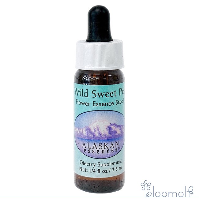 メーカー AlaskanEssencesInc. シリーズ名 アラスカン・エッセンス 単品名称 ワイルドスウィートピー(Wild Sweet Pea) 原材料 水・海塩・ブランデー・フラワーエッセンス 内容量 7.5ml 賞味期限 パッケージに記載 製造者 AlaskanEssencesInc. 生産国 アメリカ 輸入者 ネイチャーワールド(株) 資料提供 ネイチャーワールド(株) 使用上の注意 ラベルのデザインが変更になる場合がございます。予めご了承ください。 本品は化粧品や医薬品ではありません。 効果は個人によって異なり、特定の効果を保証するというものではありません。 広告文責 (株)B-CRUISE(0362724460) キーワード Wild Sweet Pea Q：フラワーエッセンスって何？ フラワーエッセンスは、花が持つ癒しを「エッセンス」というかたちで取り込む自然療法です。花や草木を育てたり触れたりすることによって「癒されたなぁ」と感じたことがある方もいるるのではないでしょうか。その「癒しエネルギー」を水に転写したものをフラワーエッセンスといいます。特に「癒し」が強かった「花」を中心に、動物や鉱石、自然環境などの様々な自然界の「癒しエネルギー」からフラワーエッセンスが作られています。フラワーエッセンスは欧米では日常レベルで根付いており、レスキュー隊などの常備品として使われていたり、薬局で売られていたりしています。 Q：フラワーエッセンスはいつから使われてるの？ 1936年にイギリスの高名な医師エドワード=バッチ博士により新しい療法として「フラワーエッセンス」は生み出されました。細菌学者であり病理学者でもあったバッチ博士は、患者の訴えに耳を傾けるうちに、従来の診断法・治療法に限界を感じ、「すべての病気を癒す方法」を模索するようになります。野生の植物に心や感情を癒す力に注目し、長い年月をかけ始まりの38種類からなる現在バッチフラワーレメディーと呼ばれるフラワーエッセンスを完成させました。 Q：フラワーエッセンスとアロマの違いは何？ 「フラワーエッセンス」という名前から花のエキスを抽出し、香りや色がついていると思う方が多いかもしれませんが、花の香りや色、味などは入っておりません。 アロマオイルは植物の「香りなどの成分」を抽出し芳香を楽しむものに対し、フラワーエッセンスは「癒しのエネルギー」を水に転写したものになります。 Q：誰でも使えるの？ フラワーエッセンスは他の薬や治療法と併用してお使いできます。アロマテラピーなどで使用する精油などには、妊婦や小さいお子様に使えない種類などがありますが、フラワーエッセンスにはありません。性別や年齢関問わず、小さなお子様からお年寄りまで全ての方、またペットまでお使いいただけます。自信、勇気、創造性、居場所のない感覚、孤立、オープン ・他者との関わりにおける自信 ・本当の自分を他者に見てもらう勇気 ・自分の創造性を他者と自由に分け合う ・コミュニティを見つける、または作る助けに ・孤立から抜け出せるように働きかける ・自分が持っているものをより多くシェアできるように ※こちらの商品はメーカー取り寄せ商品の為、ご注文確認後のキャンセルはお承りできません。予めご了承ください。 ■使用方法 ・1回2滴を1日3〜4回を舌の下に落とし数秒間とどめるようにして飲む。 ・お水やハーブティーに落として飲む。 ・気になる部分や脈、チャクラなど体の気になる部分につける。 ・エッセンスボトルを身に付ける。 ・お風呂に2滴落として入浴する。 ・クリームや化粧品に混ぜて使う。 ※緊急時やエッセンスをとても必要とする時は量を増やすのではなく使用回数を増やしてください。 ※滴数はオススメの量です。自分が必要だと思った滴数をお取りください。 ■その他の使い方 ペットには飲み水や餌に混ぜて、植物にはじょうろの水に入れて与えることができます。 ■保存方法 直射日光を避け保管してください。