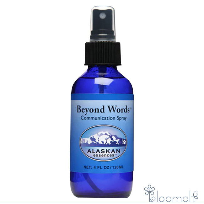 メーカー AlaskanEssencesInc. シリーズ名 アラスカン・エッセンス 単品名称 ビヨンドワーズスプレー(Beyond Words Spray)(120ml) 原材料 水・アルコール・その他 内容量 120ml 賞味期限 パッケージに記載 製造者 AlaskanEssencesInc. 生産国 アメリカ 輸入者 ネイチャーワールド(株) 資料提供 ネイチャーワールド(株) 使用上の注意 ラベルのデザインが変更になる場合がございます。予めご了承ください。 本品は化粧品や医薬品ではありません。 効果は個人によって異なり、特定の効果を保証するというものではありません。 広告文責 (株)B-CRUISE(0362724460)自己表現への自信をサポートするコミュニケーション ビヨンドワーズは、自己表現への自信をサポートするコミュニケーションのためのスプレーです。思考をクリアな状態に整理することを助け、楽な発話を促します。書く時、教える時、スピーチをする時、面接の時など正直さ、オープンなコミュニケーション、共通理解が重要な全ての状況下において（会議、セラピーセッション、家族の集まり等）、素晴らしい助けとなります。ラベンダーメイレット、ローマンカモミール、レッドマンダリン、ローズゼラニウム、サンダルウッドのオイルが入っています。これらオイルは、グラウンディング、沈静、高揚の助けとなり、思考をクリアにし、自尊心を促進します。 ■使用方法 ・頭の上や体のまわりなど、体を包むオーラ(オーラフィールド)にふきかける。 ・寝室やリビングなどの室内や職場など自分が居る空間にスプレーしする。 ■使用上の注意 こちらの商品はスプレータイプとなっています。飲むことはできません。 ■保存方法 直射日光を避け保管してください。