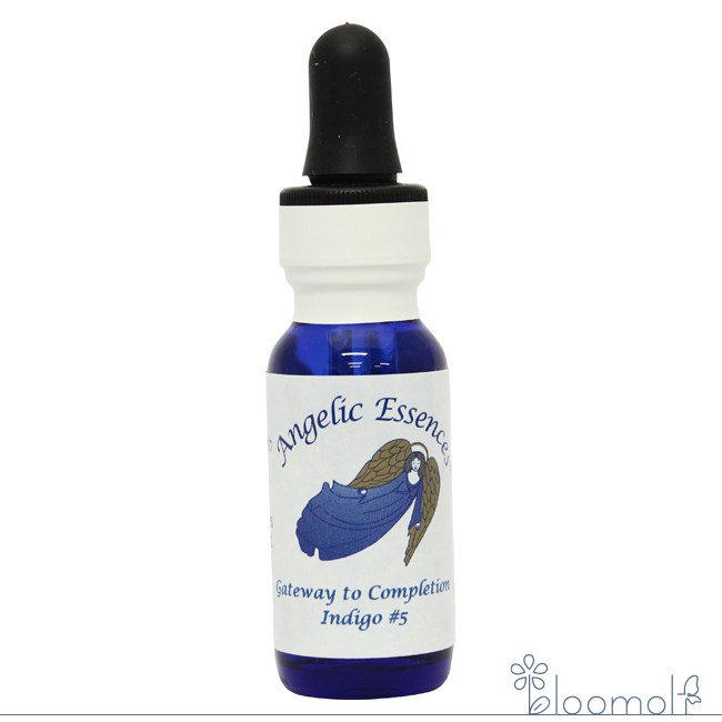 #73 ゲイトウェイ・オブ・コンプリーション インディゴ ゲイトウェイ#5 アンジェリックエッセンス 意識の扉 インディゴの光シリーズ