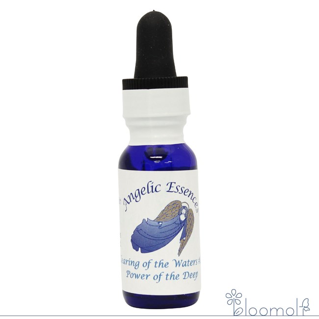 樂天商城 - #88 パワー・オブ・ザ・ディープ 大いなる水の力 クリアリング・オブ・ザ・ウォーターズ#4 アンジェリックエッセンス 水の癒しキット