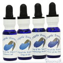 水の癒しキット 全4本 キット アンジェリックエッセンス 水の癒しキット Clearing of the Waters Kit