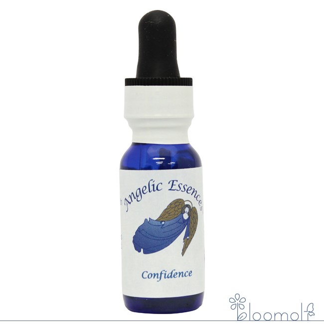 #45 コンフィデンス アンジェリックエッセンス ヒーラーズキット Confidence