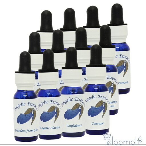 ヒーラーズキット 全12本 キット アンジェリックエッセンス ヒーラーズキット Angelic Healer's Kit ヒーラーズキット 全12本 キット アンジェリックエッセンス ヒーラーズキット Angelic Healer's Kit