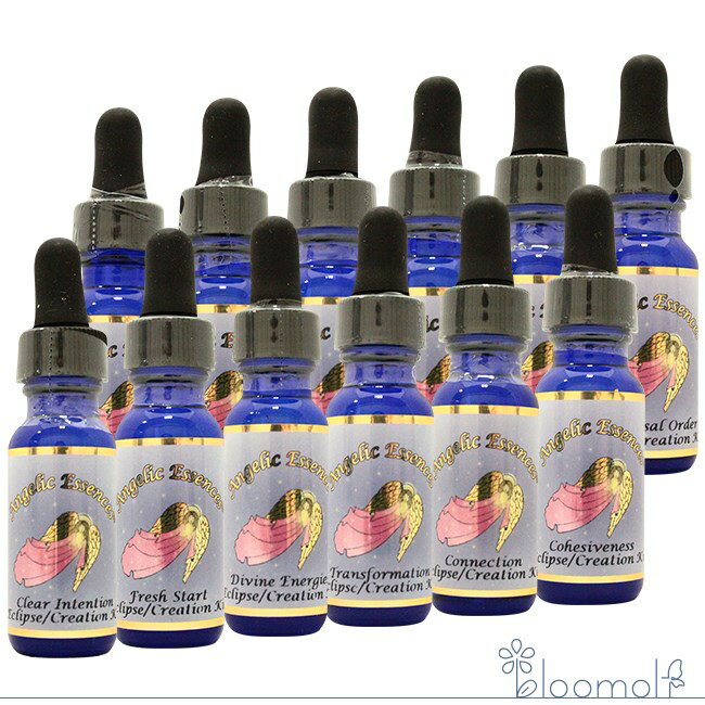エクリプスエッセンス コズミッククリエイションキット 全12本 アンジェリックエッセンス エクリプスエッセンス コズミッククリエイション