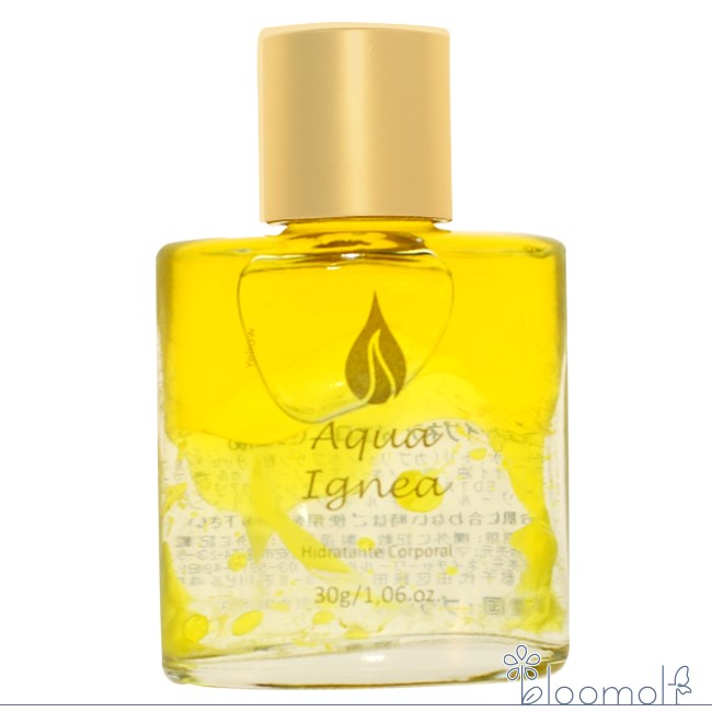 �A�N�A�C�O�l�A�@�C�G���[�@�L�����Ǝ��ȉ��l