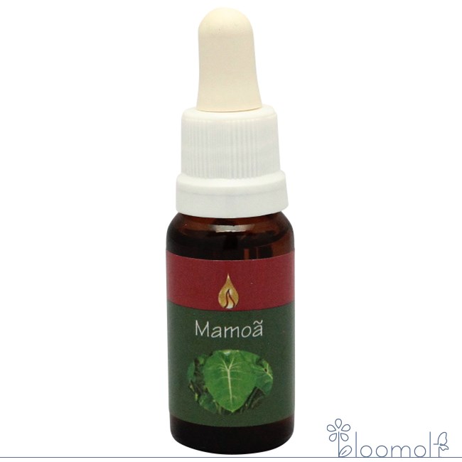 マモア アラレタマ レインフォレストエッセンス