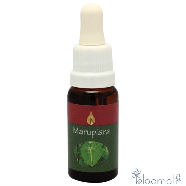 樂天商城 - マルピアラ アラレタマ レインフォレストエッセンス