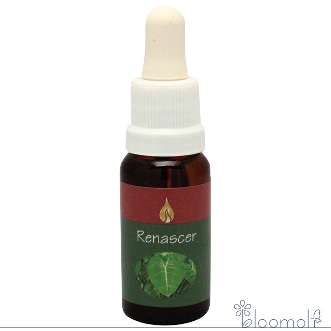 ヘナシー アラレタマ レインフォレストエッセンス