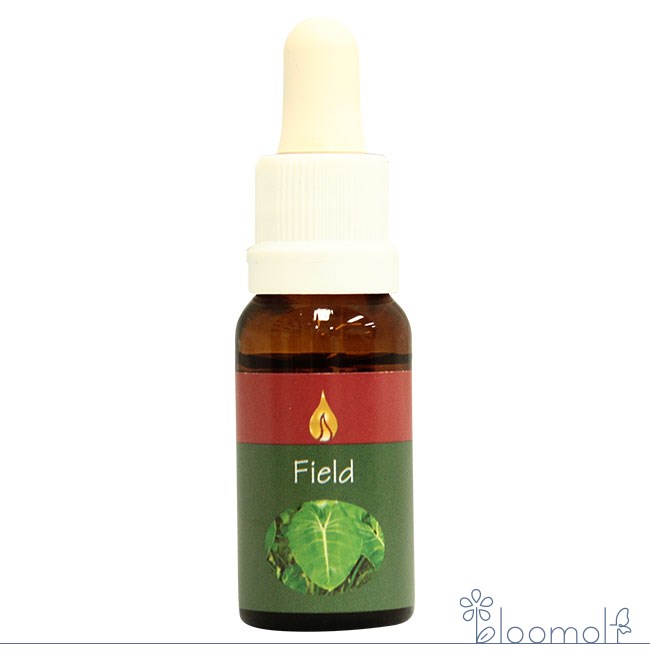 樂天商城 - フィールド Field アラレタマ レインフォレストエッセンス