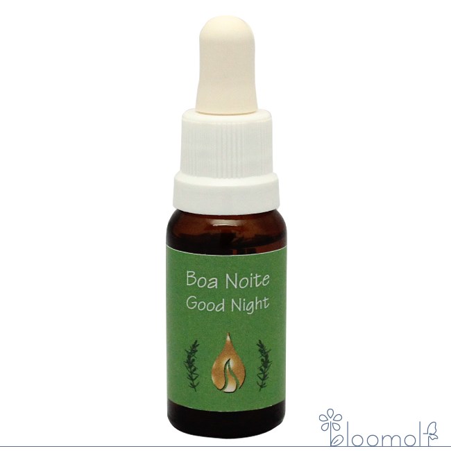 グッドナイト アラレタマ スパイスフォーザソウル