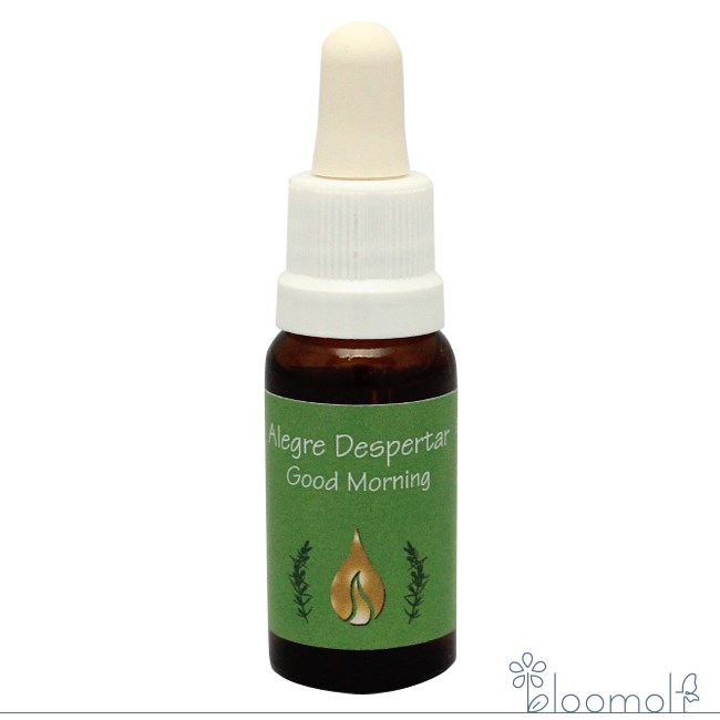 グッドモーニング アラレタマ スパイスフォーザソウル