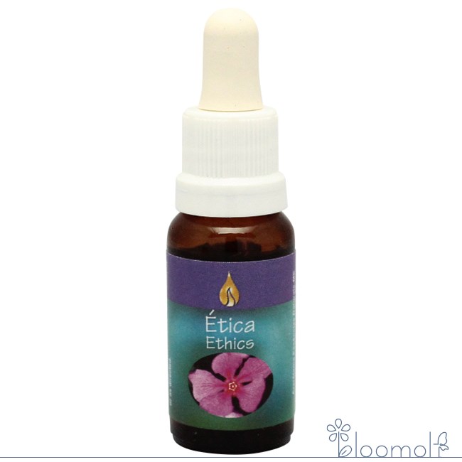 エシックス アラレタマ ワイズウーマンプログラム