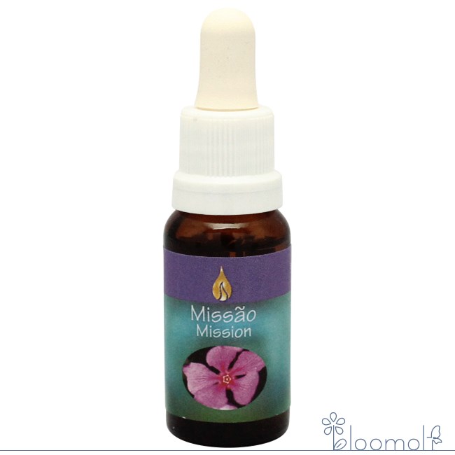 樂天商城 - ミッション アラレタマ ワイズウーマンプログラム