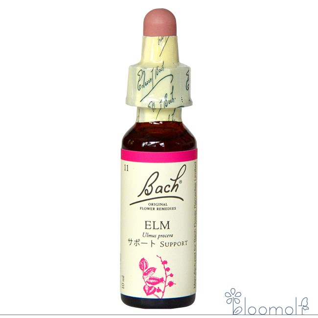樂天商城 - エルム バッチフラワーレメディ 日本国内正規品 グリセリン ネルソン