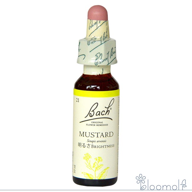 マスタード バッチフラワーレメディ 日本国内正規品 グリセリン ネルソン