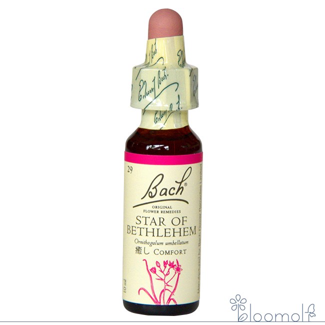 スターオブベツレヘム バッチフラワーレメディ 日本国内正規品 グリセリン ネルソン
