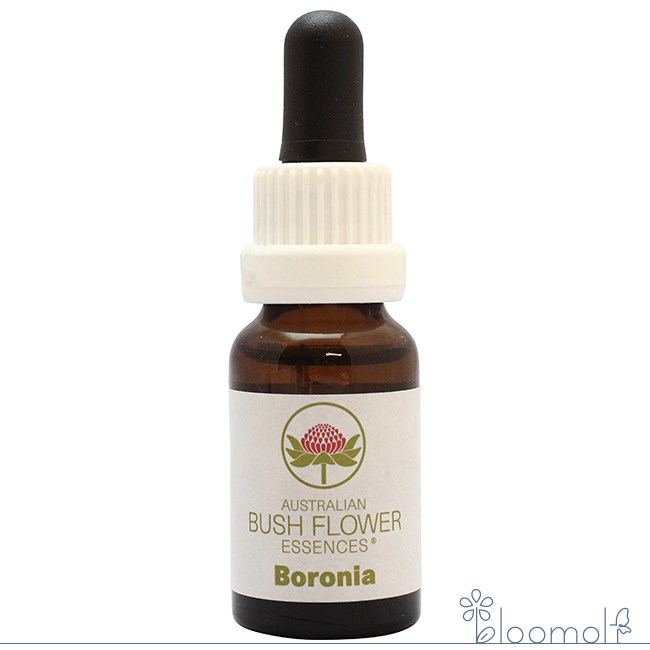 メーカー BushBiotherapiesPtyLtd, シリーズ名 オーストラリアンブッシュ 単品名称 ボロニア 原材料 水・海塩・アルコール類・その他 内容量 15ml 賞味期限 パッケージに記載 製造者 BushBiotherapie...