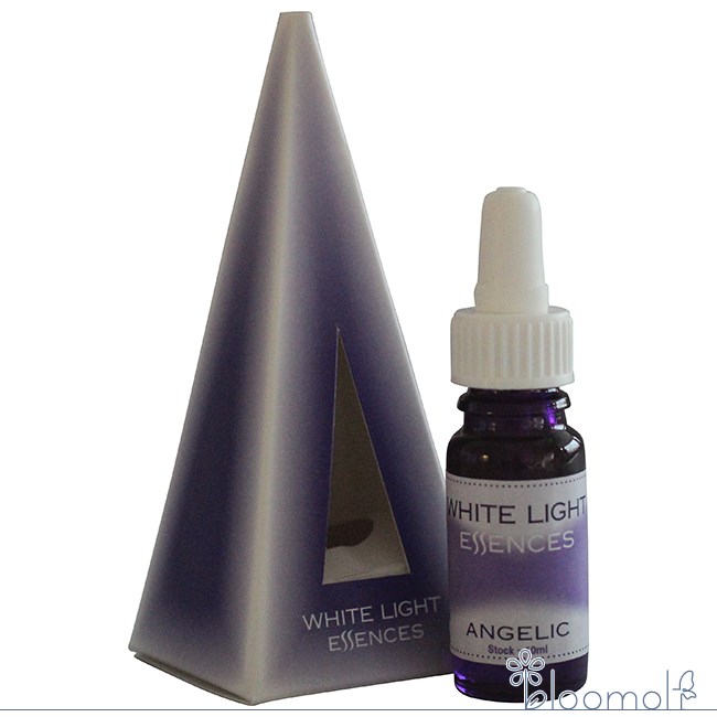 樂天商城 - Angelic 天使 オーストラリアンブッシュ ホワイトライト