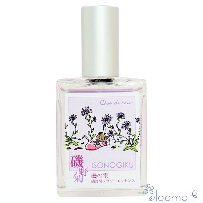 磯野菊 シャンドゥルール スプレー 奄美大島