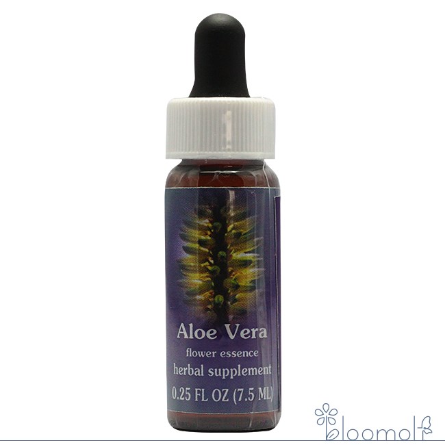 アロエベラ FESフラワーエッセンス クイントエッセンス