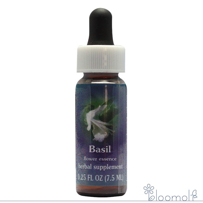 バジル FESフラワーエッセンス クイントエッセンス