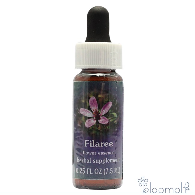 樂天商城 - フィラリー FESフラワーエッセンス クイントエッセンス