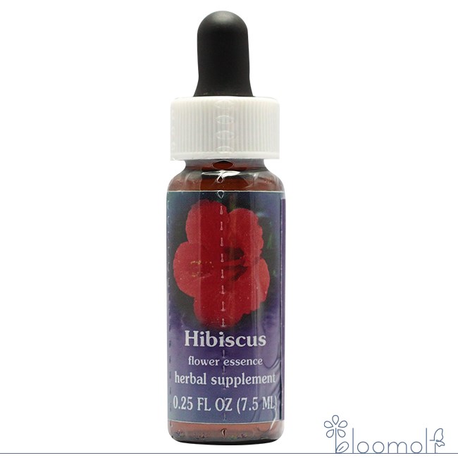 ハイビスカス FESフラワーエッセンス クイントエッセンス