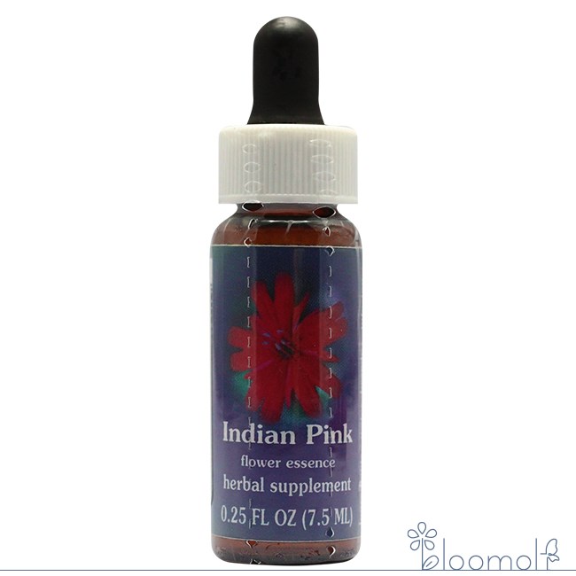 樂天商城 - インディアンピンク FESフラワーエッセンス クイントエッセンス