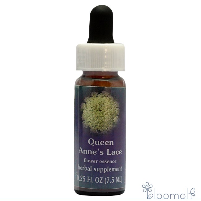 樂天商城 - クィーンアンズレース FESフラワーエッセンス クイントエッセンス