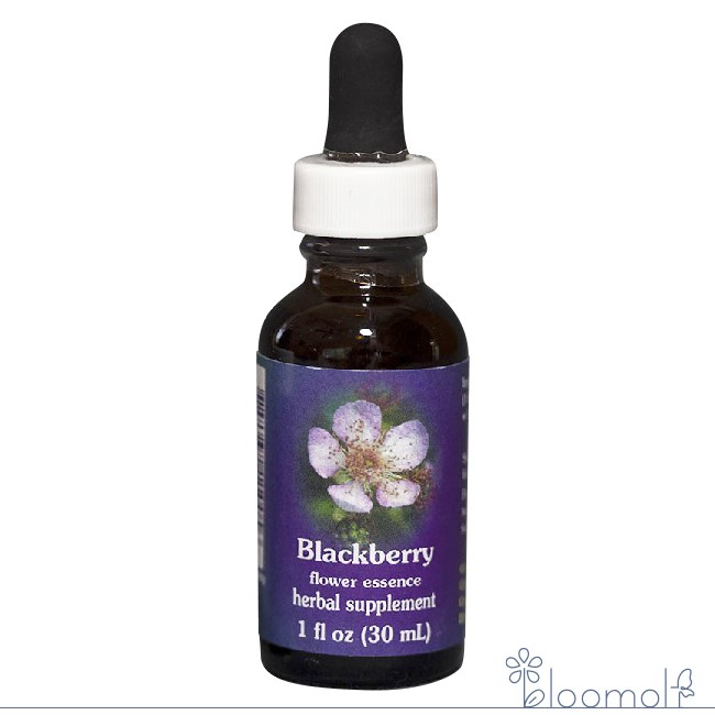 ブラックベリー FESフラワーエッセンス クイントエッセンス 30ml キャンセル不可商品 注文後取寄品