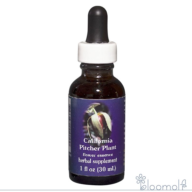 樂天商城 - カリフォルニアピッチャープラント FESフラワーエッセンス クイントエッセンス 30ml キャンセル不可商品 注文後取寄品