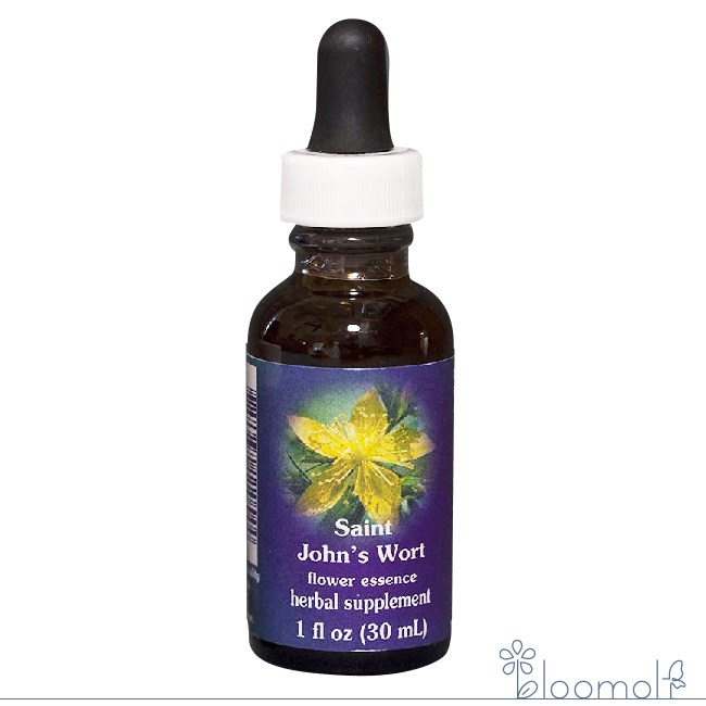 セントジョンズワート FESフラワーエッセンス クイントエッセンス 30ml キャンセル不可商品 注文後取寄品