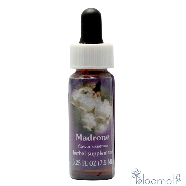 マドローン FESフラワーエッセンス レンジオブライト(4.0)